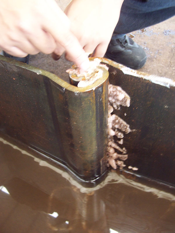 Waterdichte Sealants voor Grand Steel Pilings in het Nederlands